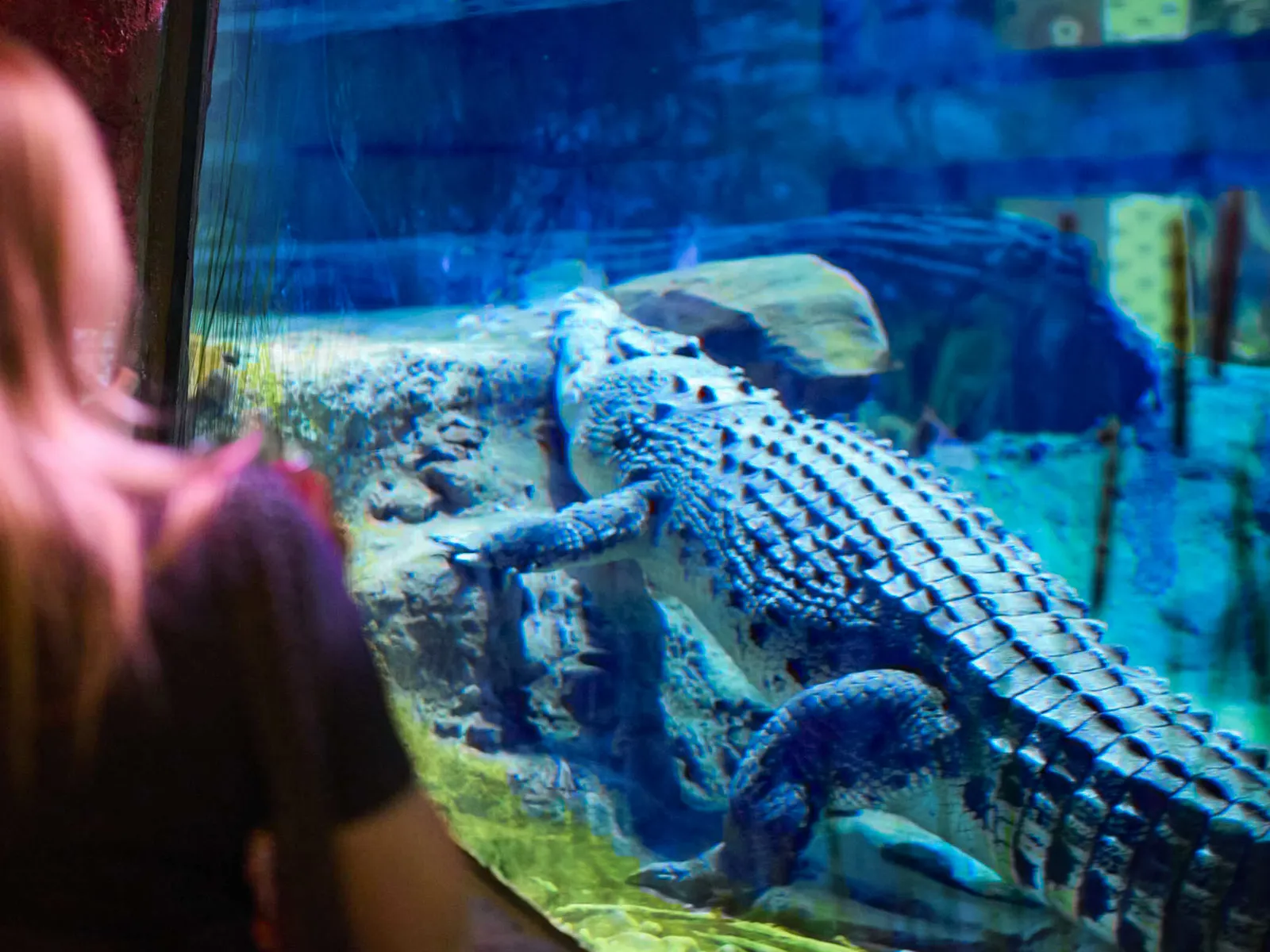 Crocacademy AWDT 1600X1200px V1