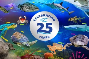 25 Years SEA LIFE (1080X1080px)