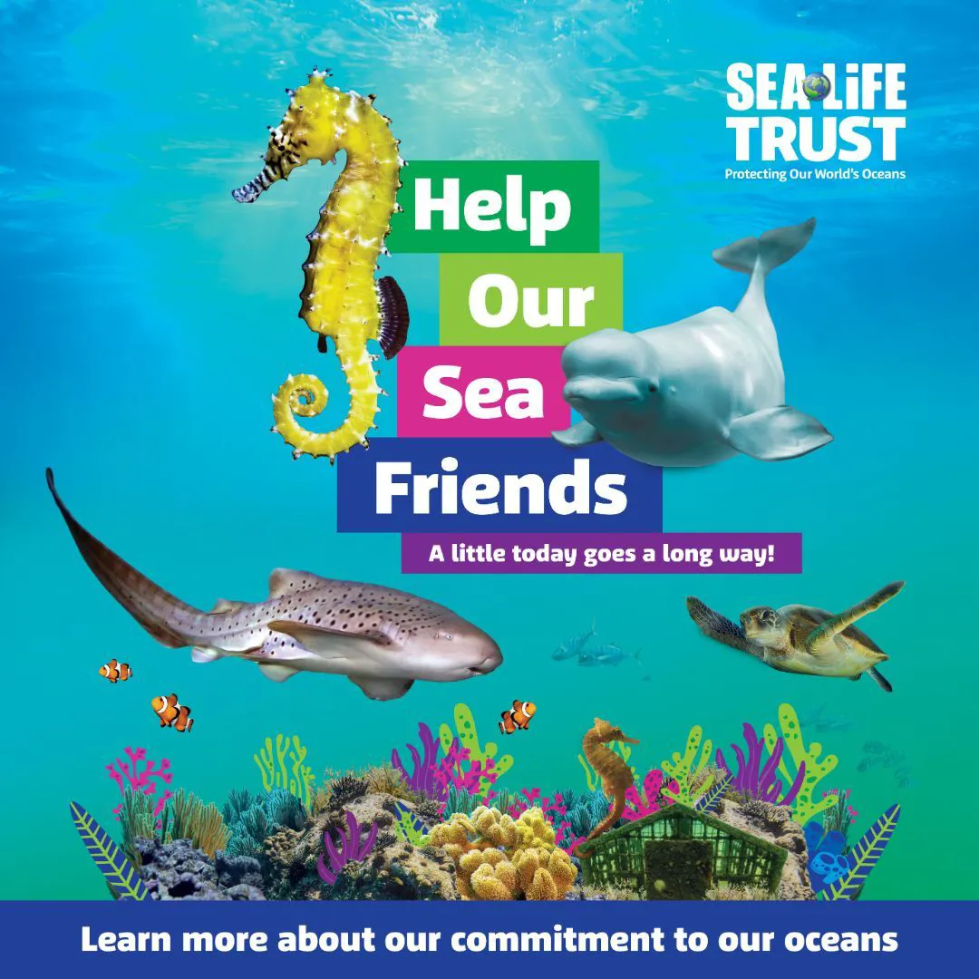  World Oceans Day poster