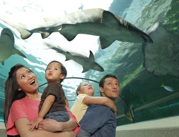 SEA LIFE Sydney Aquarium Family In Shark Valley