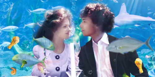 Newdiningunderwater