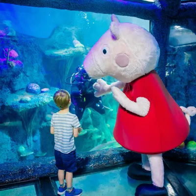 Pepasealife 49