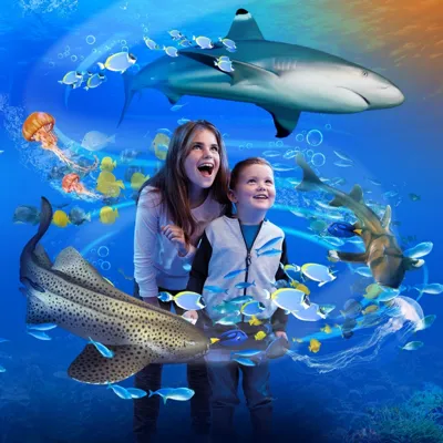 Look Out For The Truth Or Myth Challenges To Complete Your Discover Sharklife Activity Booklet! (1)