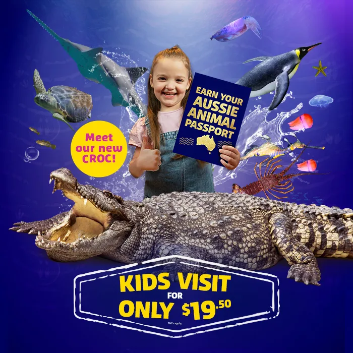 SLM AAP Whatsonblock 700X700