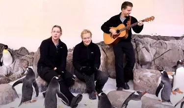 International Penguin Day