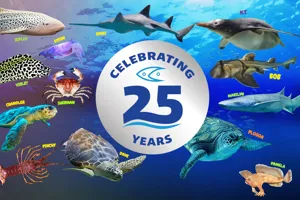 25 Year Anniversary
