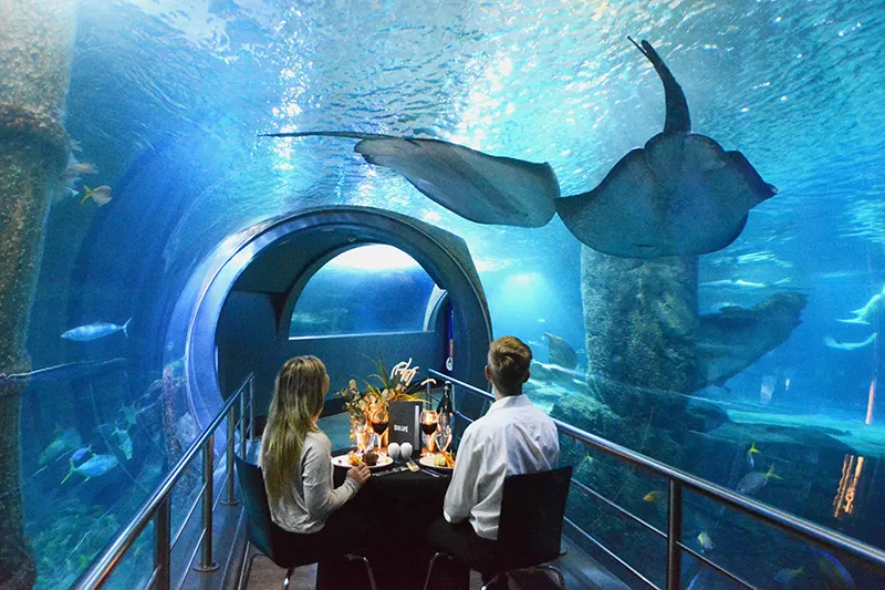 Sealifemelbourne Valentinesday