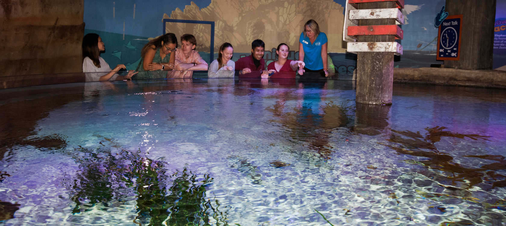 Group around aquarium tank pointing