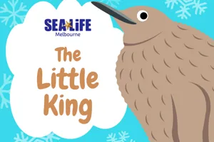 Lilking Mobile800x590