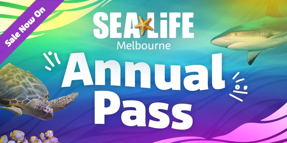 SLAP 1000X500px SALE SLM