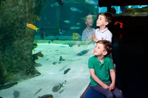 Sealife Alexfrankphoto 6