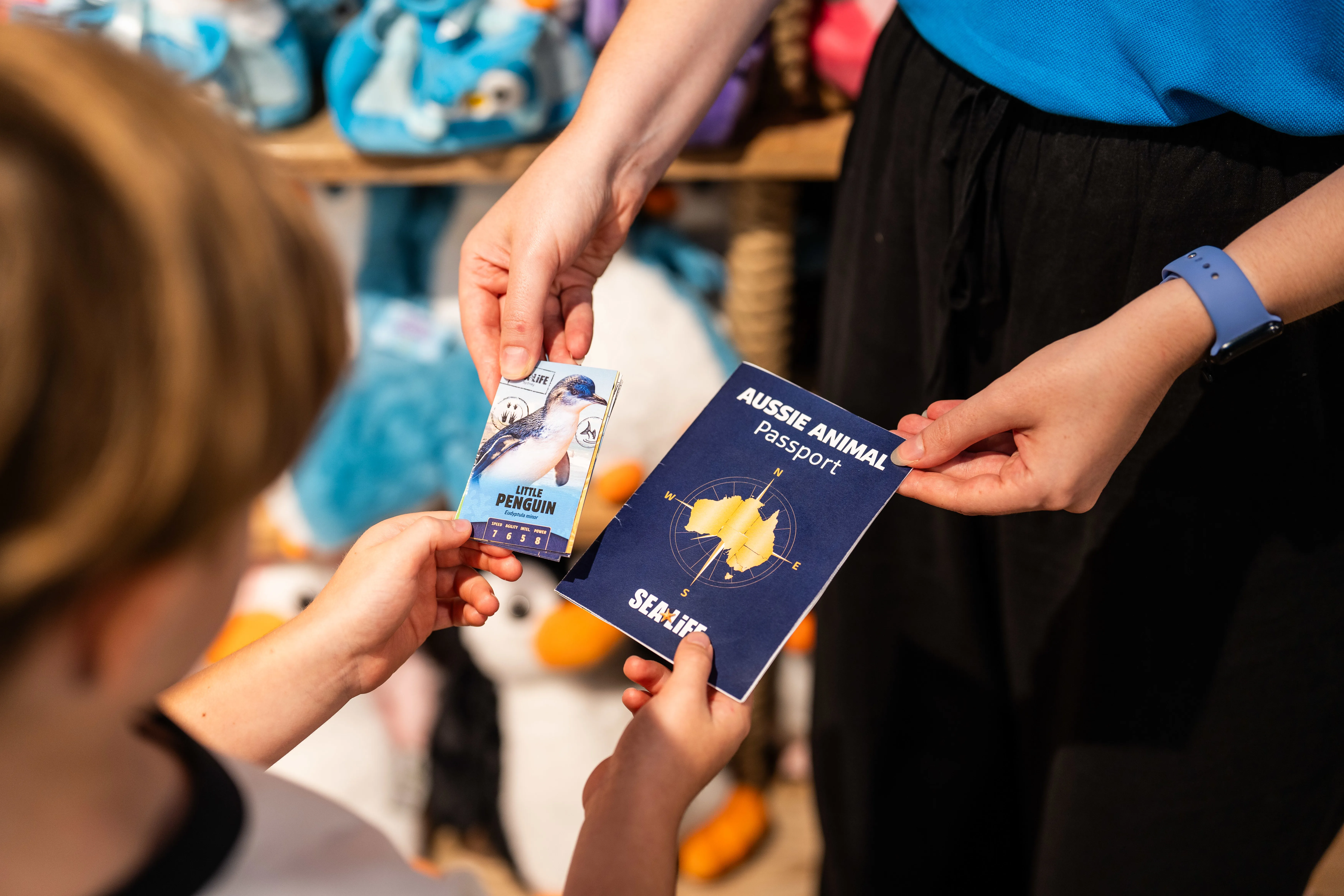 SLM AAP Cards Passport