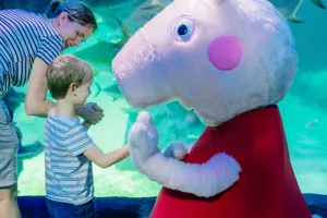 Pepasealife 39