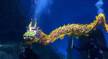 Underwater Dragon Dance Lunar New Year