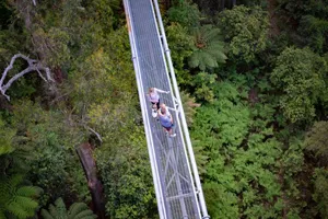 Overhead Walk