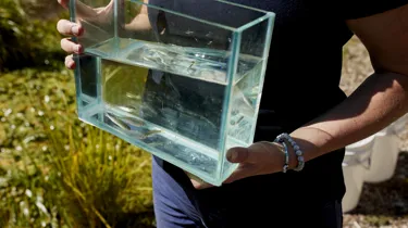 KP 029 SL Rainbow Release 210324