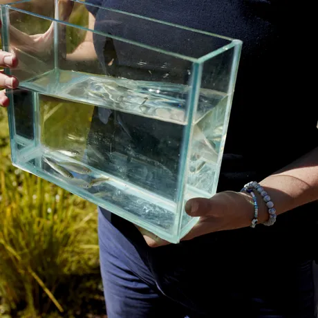 KP 029 SL Rainbow Release 210324