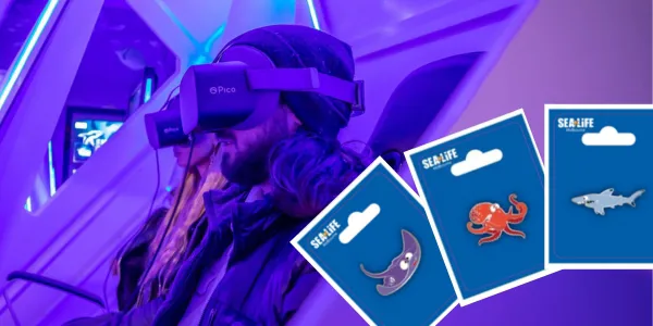 VR + GA + PINS Pic