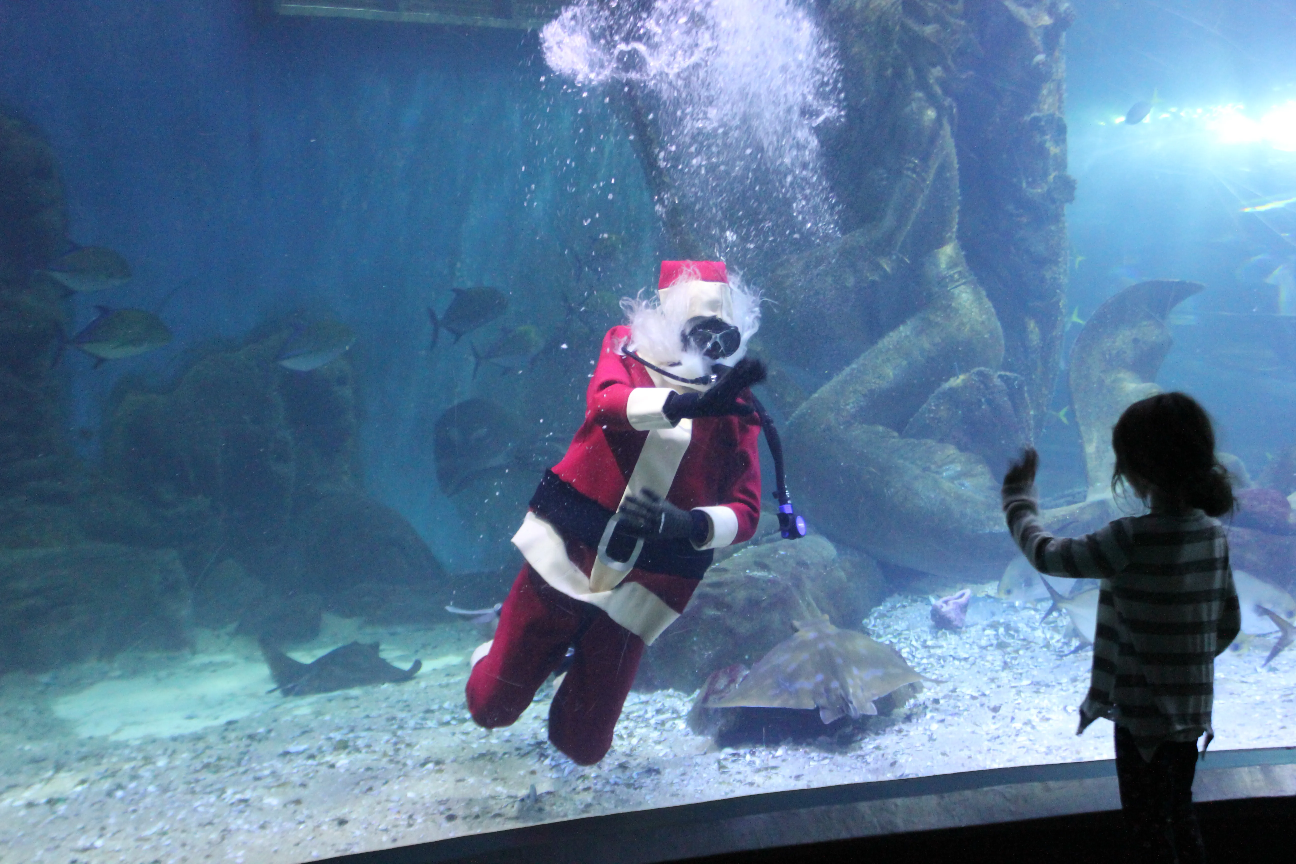 Scuba Santa Merlins Magic Wand