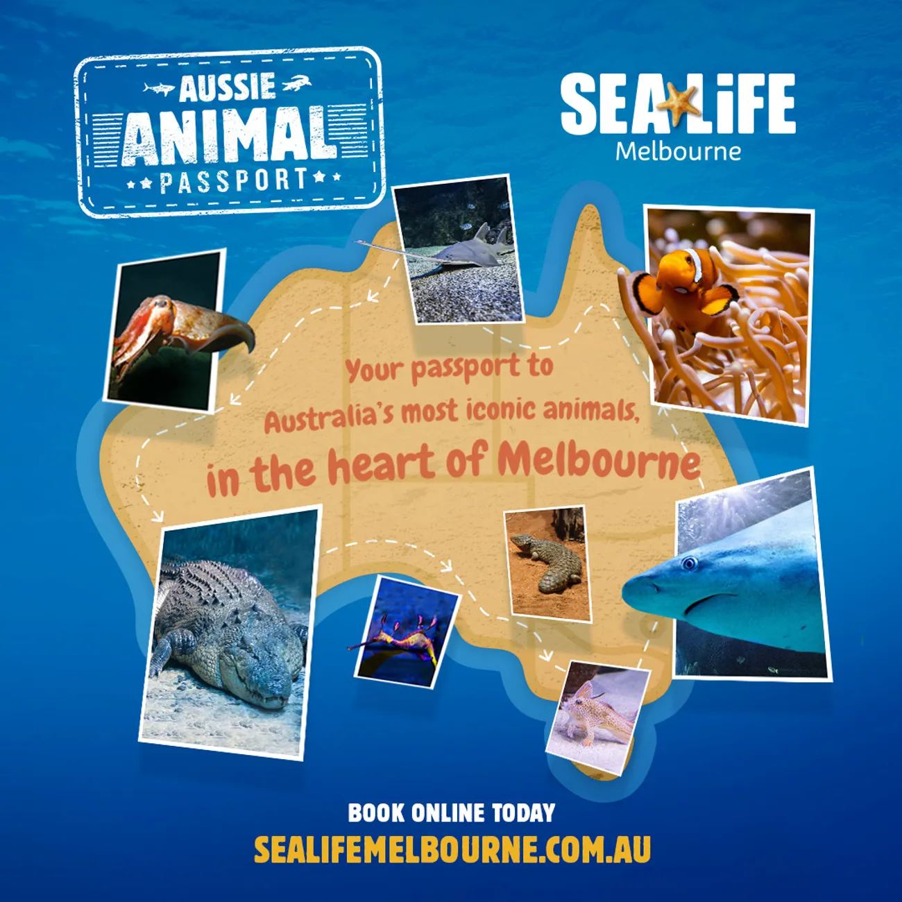 SEA LIFE Melbourne | Cheapest Ticket | Official Website