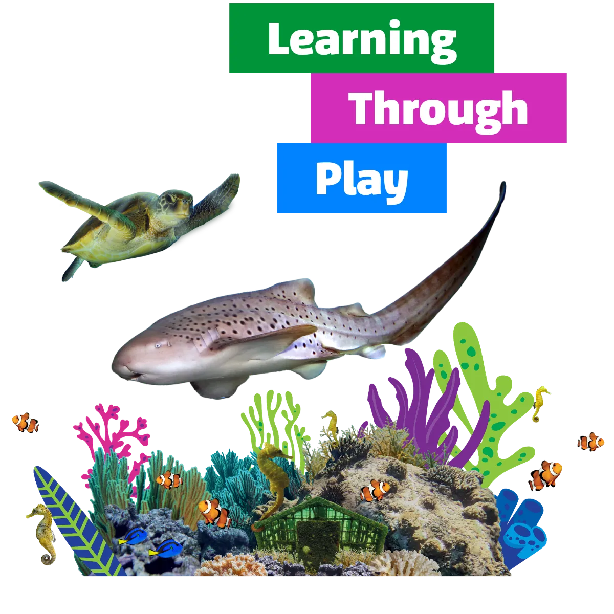 World Oceans Day Website 1200X1200 (1)