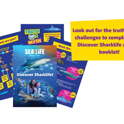 Look Out For The Truth Or Myth Challenges To Complete Your Discover Sharklife Activity Booklet!