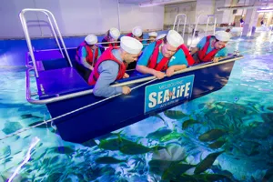 Glass Bottom Boat (1)