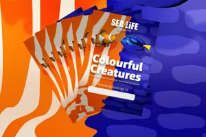 Booklet Edm
