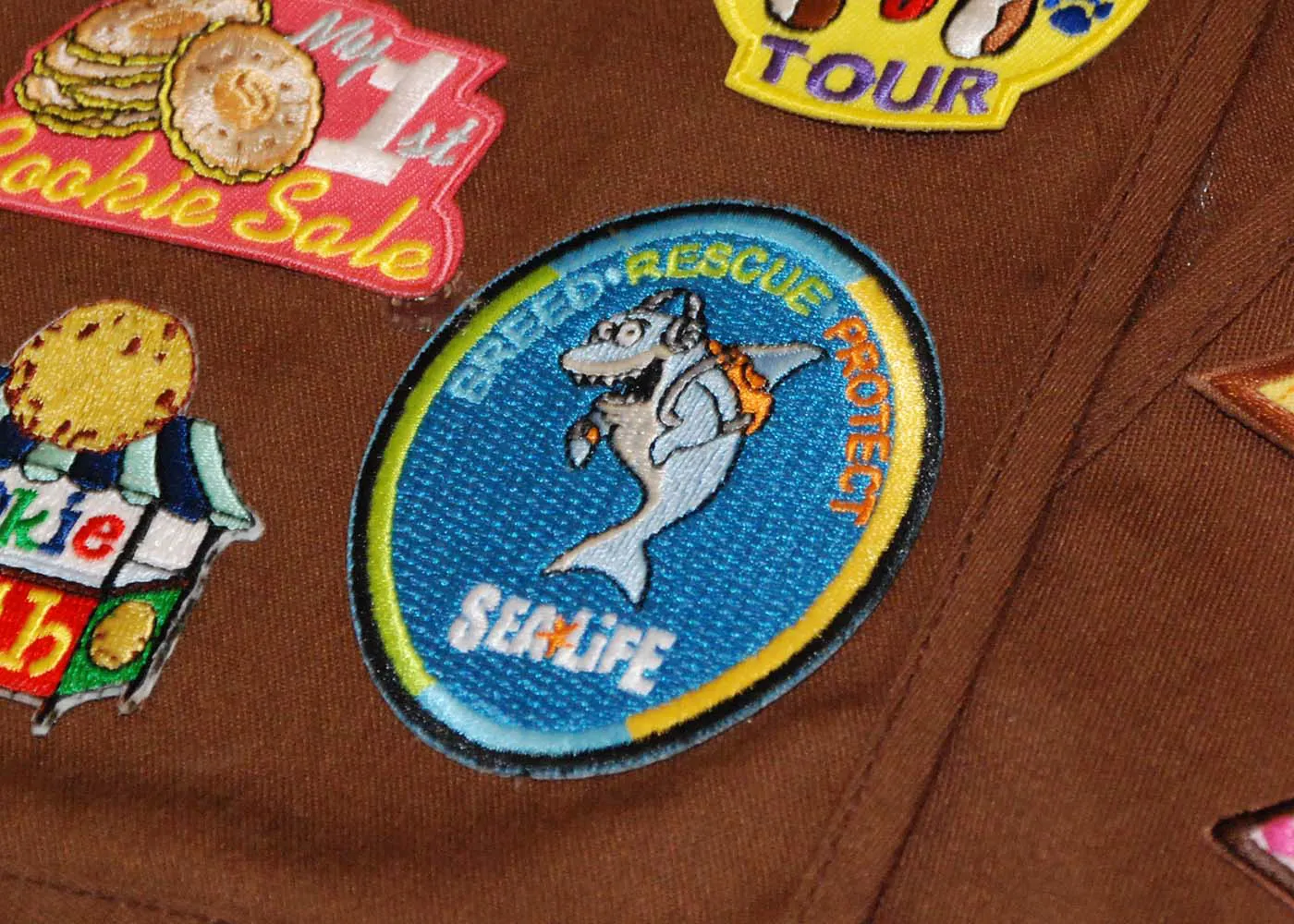 Scouts 1400X1000