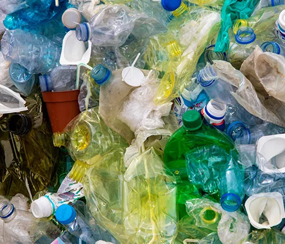 Recycling Facilities Around Detroit | SEA LIFE Michigan Aquarium