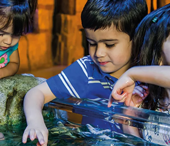 Touchpool 2 1200X600