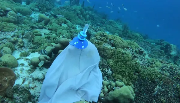 Curacao 2
