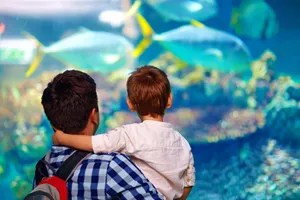 SEA LIFE Michigan Aquarium Dad + Kid 1400X1000