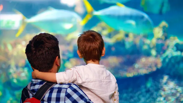 SEA LIFE Michigan Aquarium Dad + Kid 1400X1000