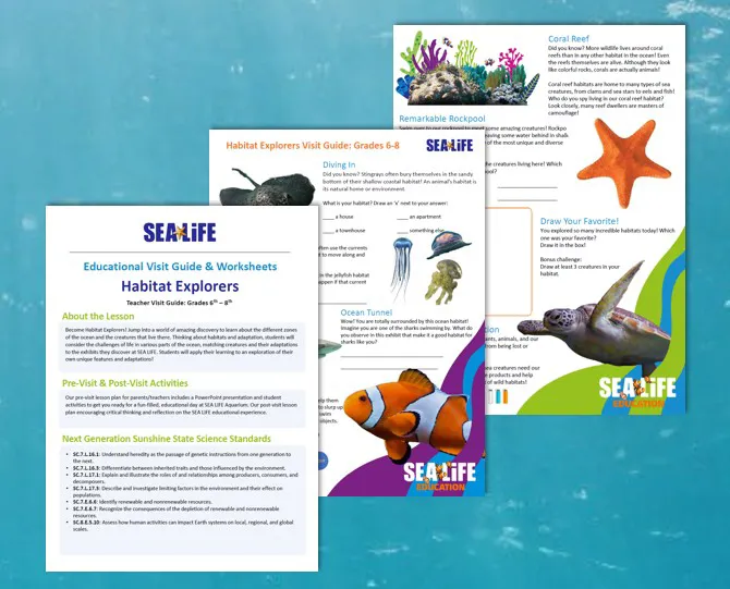 Habitiat Explorers Visit Guide Sealife Schools