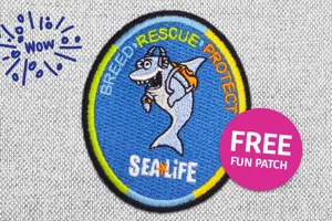SEA LIFE Scout Days