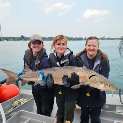 Michigan Lake Sturgeon Conservation 1000X1000