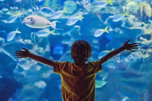 SEA LIFE Michigan Aquarium Exhibit + Kid 1400X1000