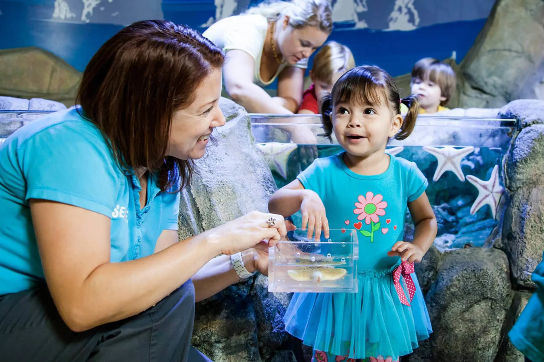 Association of Zoos & Aquariums SEA LIFE Michigan