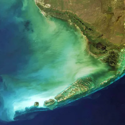 Florida Reef Tract | SEA LIFE Aquarium