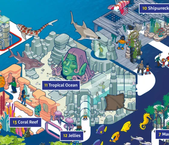SEA LIFE Aquarium Michigan Map