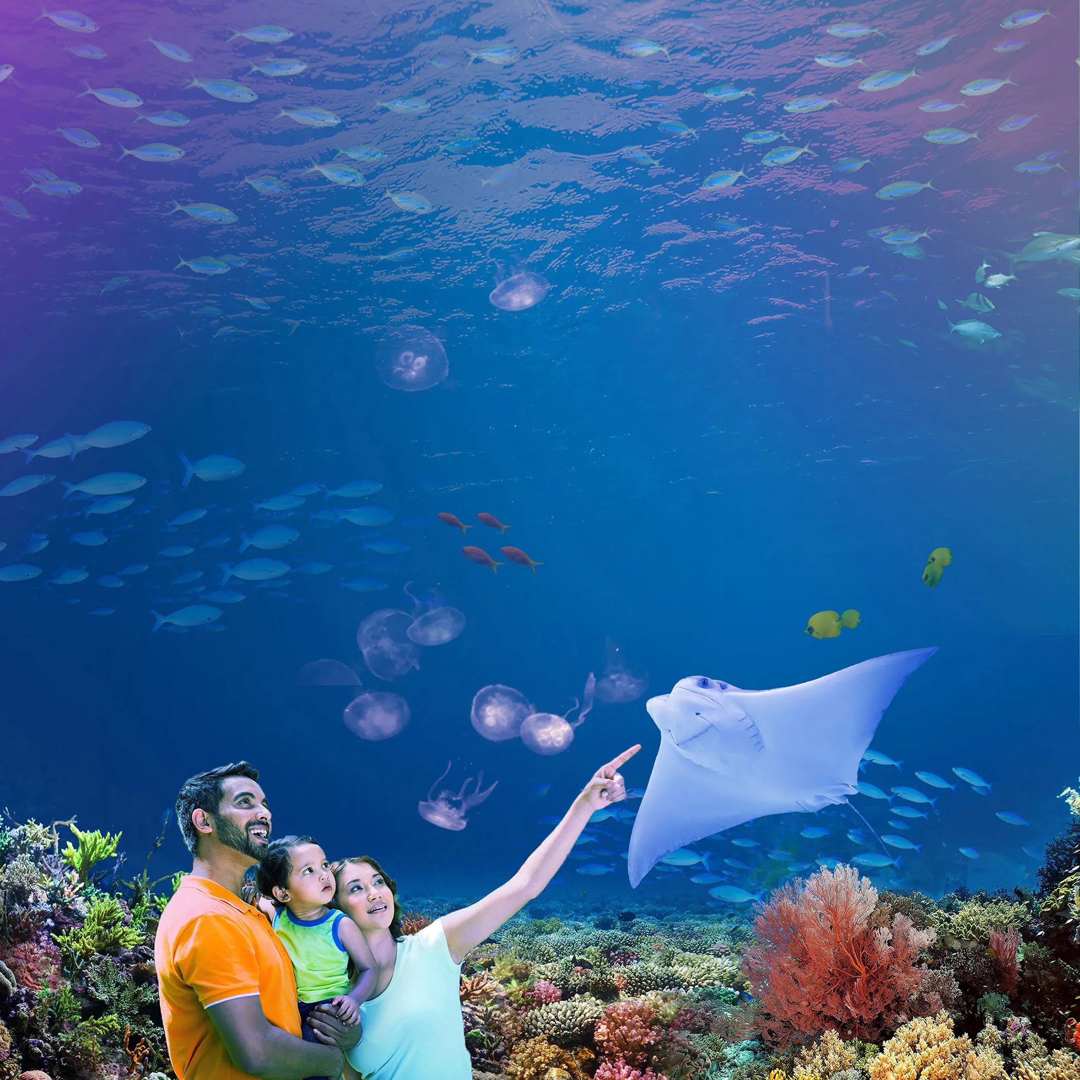 SEA LIFE Michigan Aquarium at Great Lakes Crossing Outlets