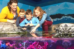 Touchpool | SEA LIFE Aquarium