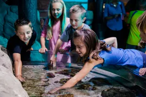 Sealife Groups Birthdays | SEA LIFE Aquarium