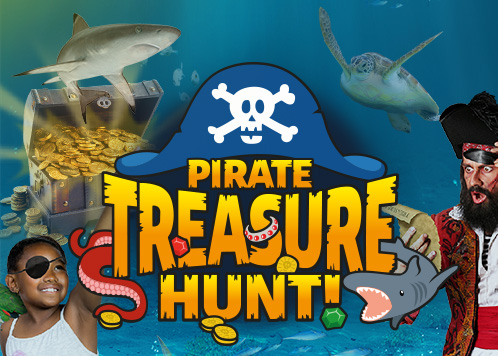 Pirate Treasure Hunt | SEA LIFE at Mall of America