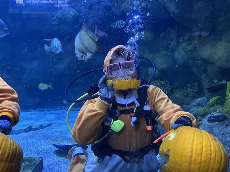 Underwater Pumpkin Carving | SEA LIFE at Mall of America