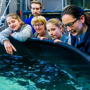 BTS Tour | SEA LIFE Michigan Aquarium