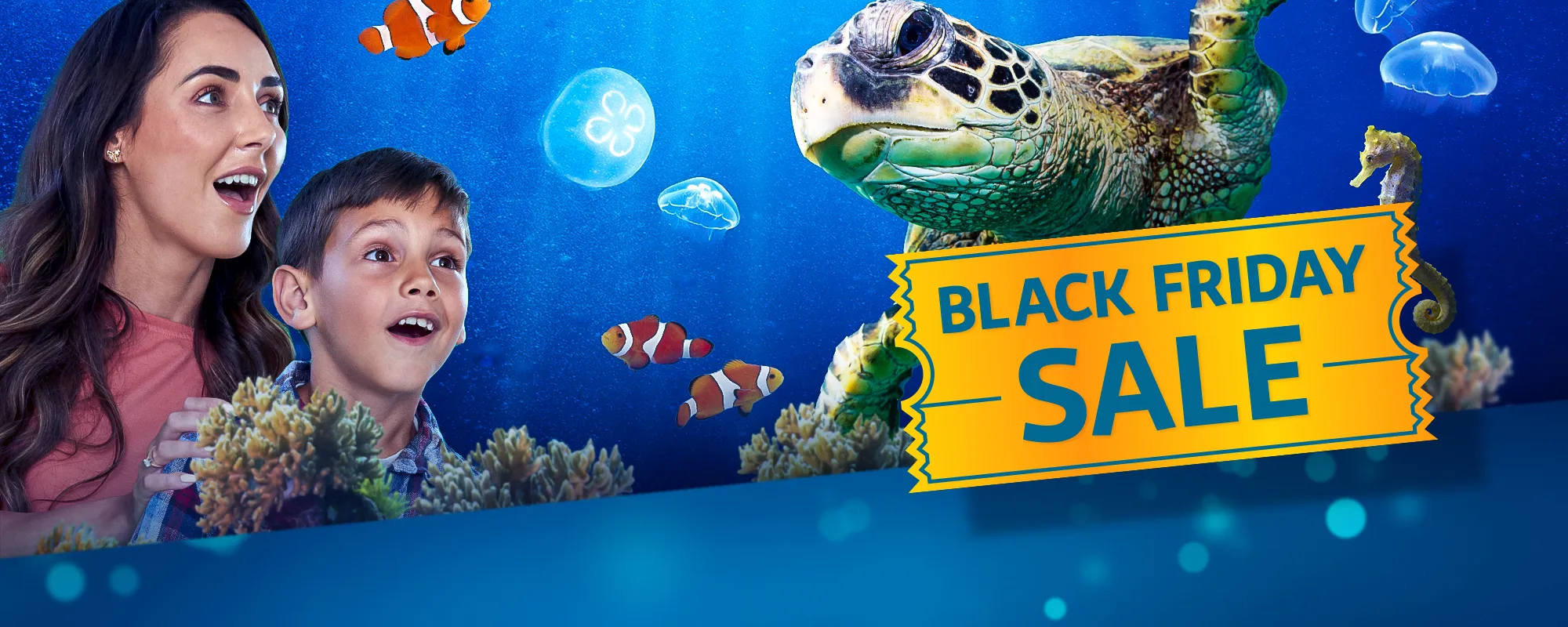PLEASE USE SL Digital Black Friday Sale 2000Px X 800Px