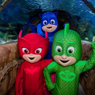PJ Masks Video Image