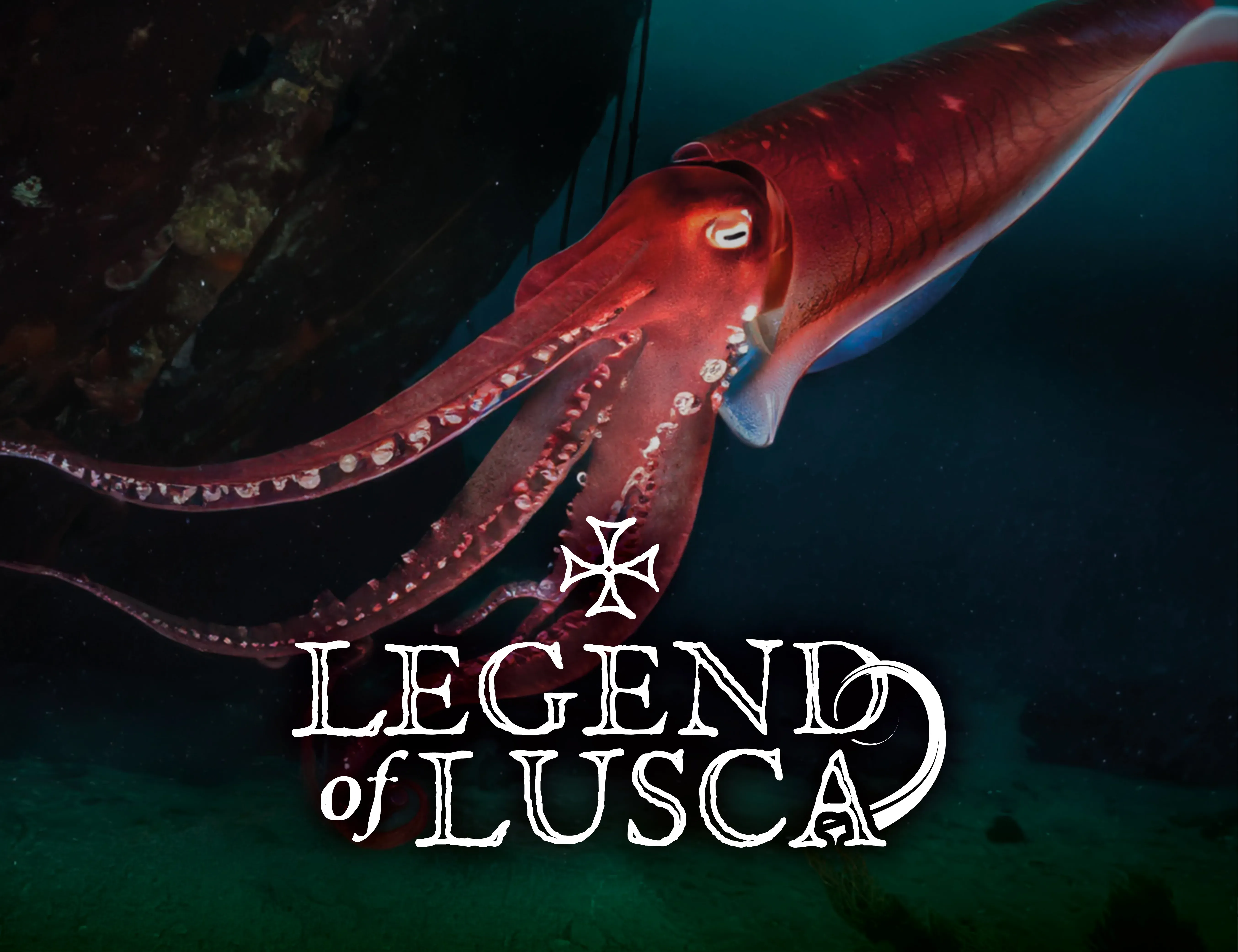 SEA LIFE at Mall of America VR Experience